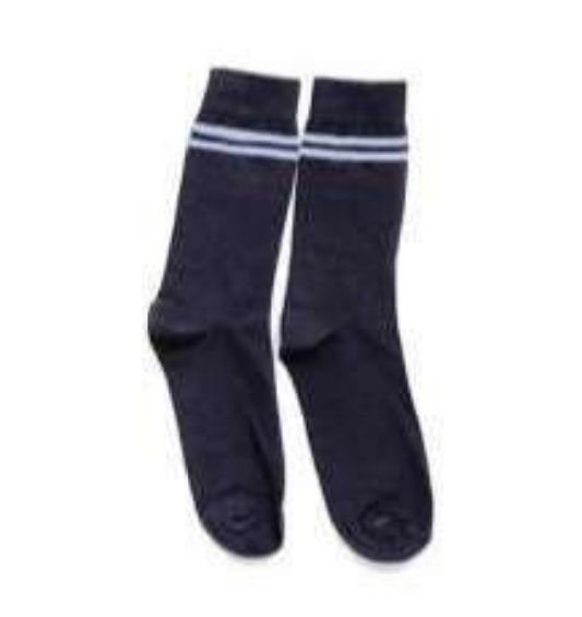 DAV Steel Grey Socks Front